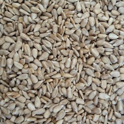 maltbys sunflower hearts