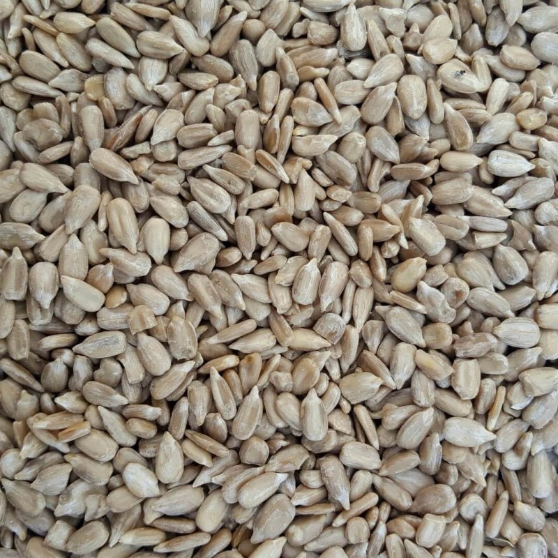 sunflower hearts 20 kg