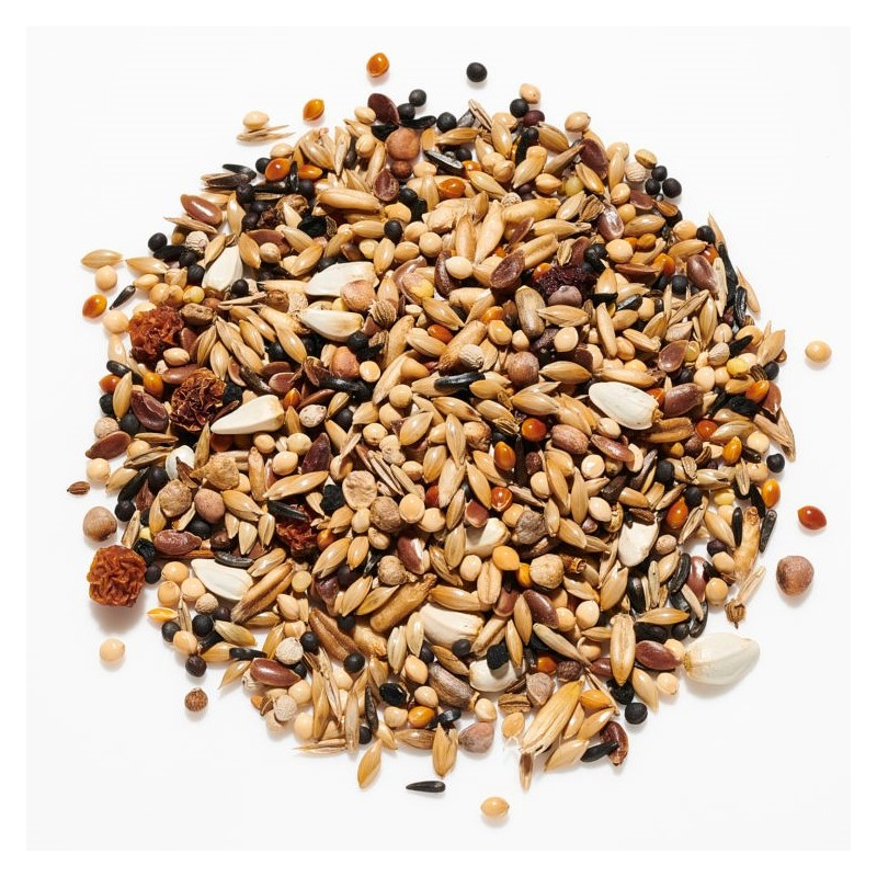 countrywide bird seed suppliers near me