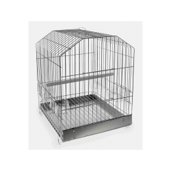 DOMUS MOLINARI - Parrot Cage