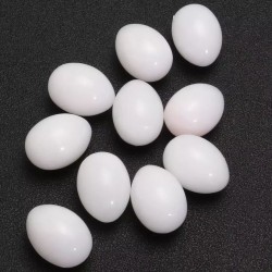 Solid Dummy Pigeon Eggs -...