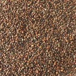 Brown Perilla Seed - 1kg