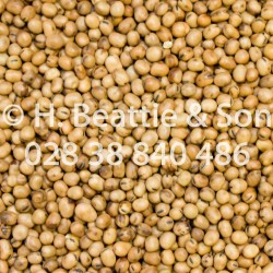 Beans "New Crop" - 20kg -...