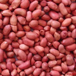 Peanuts High Grade Red Skin...