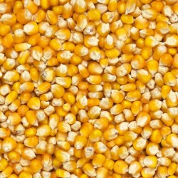 Maize French Cribs - 25kg -...