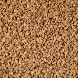 Millet Seed Japanese - 20kg...